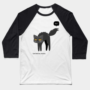 Evil Cat Baseball T-Shirt